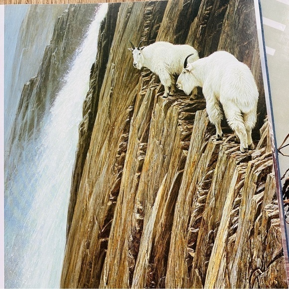 𝅺ROBERT Bateman book “the art of Robert Bateman” animals pictures navy blue - Picture 10 of 14